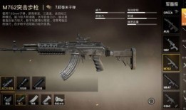 和平精英枪最新爆料,神秘性能引发热议，玩家期待度飙升