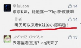 qq王者皮肤最新爆料是什么,神秘皮肤即将登场，玩家期待值飙升！