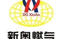 石家庄新奥最新爆料,揭秘企业变革与发展新动向